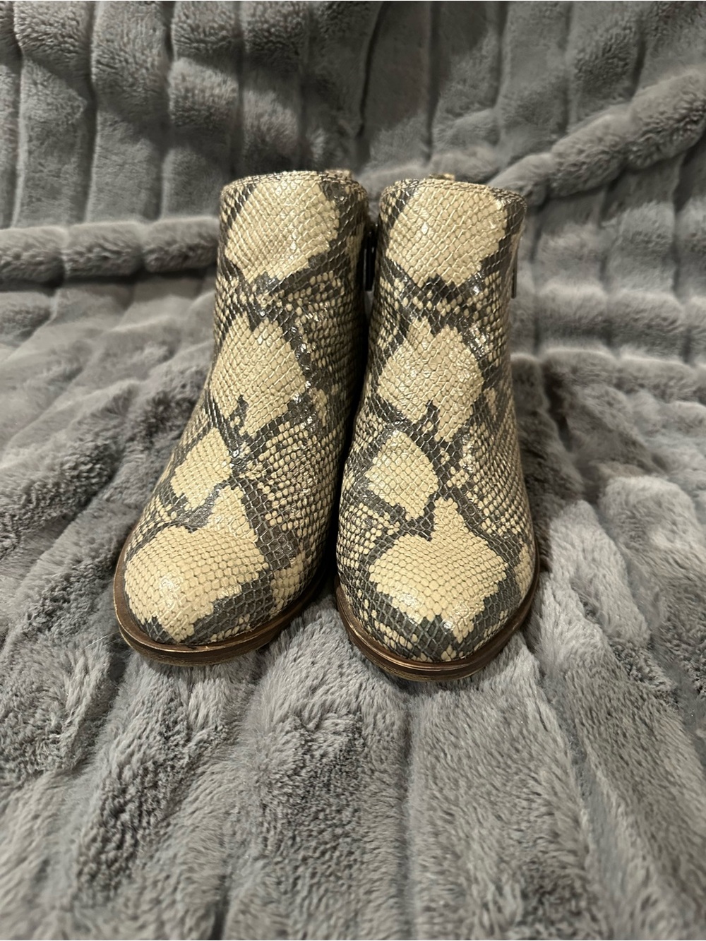 Lucky Brand Snake-Embossed Ankle Booties in Beige and Gray